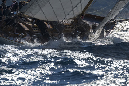 ©Les Voiles de Saint-Tropez  2024