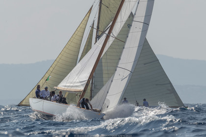 VST21D6_0840.jpg